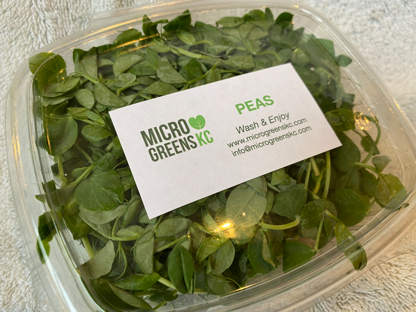 pea-microgreens-12